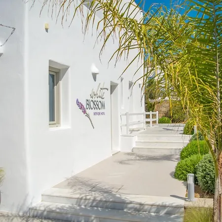 White Blossom 호텔