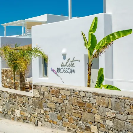 Hotel White Blossom *