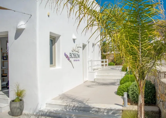 White Blossom Hotell